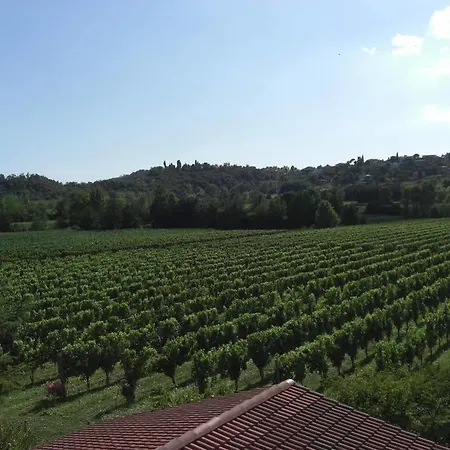 Il Vigneto Affittacamere Hotel